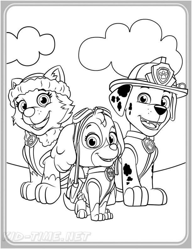 Everest Paw Patrol Coloring Book