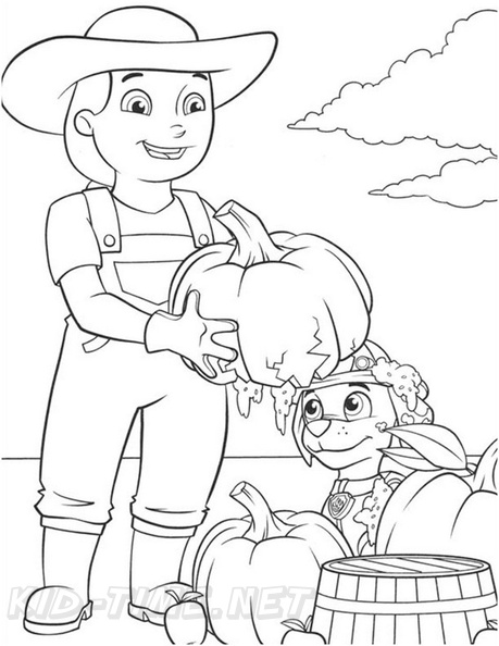 Paw Patrol Farmer Yumi Coloring Book Page