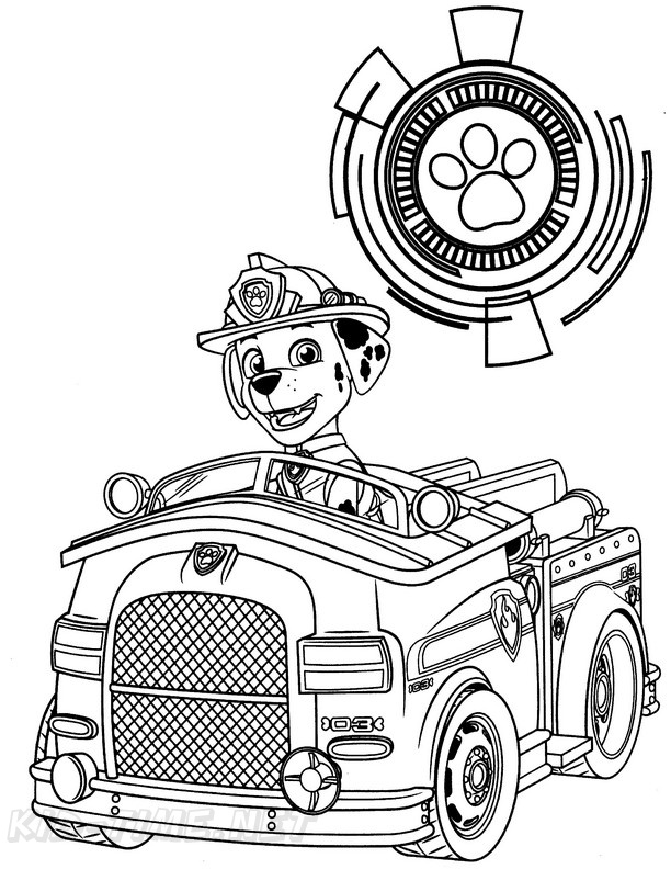 49+ Paw Patrol Marshall Coloring Page PNG