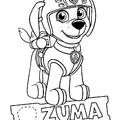 Zuma Paw Patrol Coloring Book Page