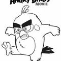 Angry_Birds-014.jpg