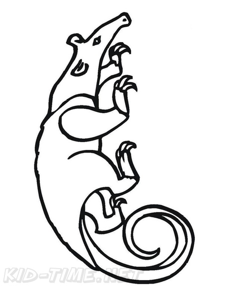 anteater-coloring-pages-011.jpg