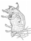 boar-coloring-pages-004