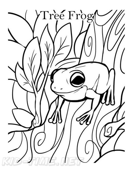 Frogs_Coloring_Pages_310.jpg
