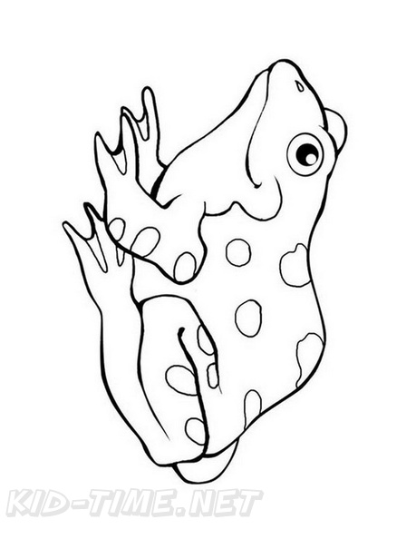 Realistic Frog Coloring Book Page